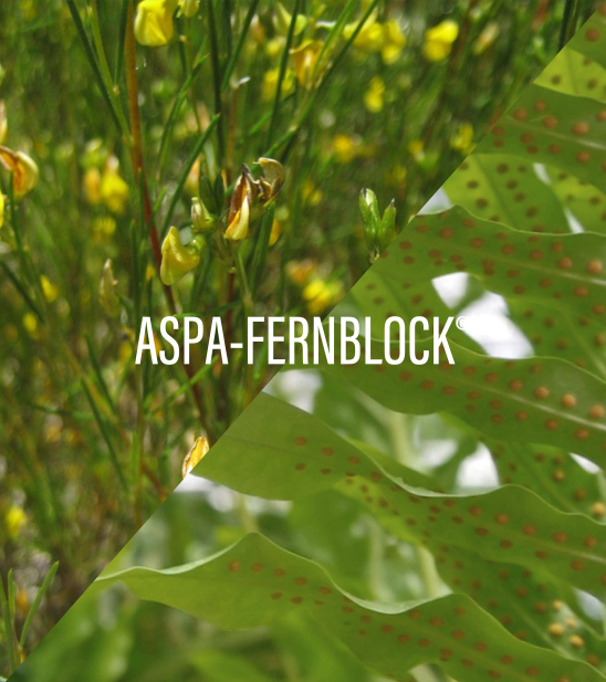 Tecnología ASPA-FERNBLOCK®